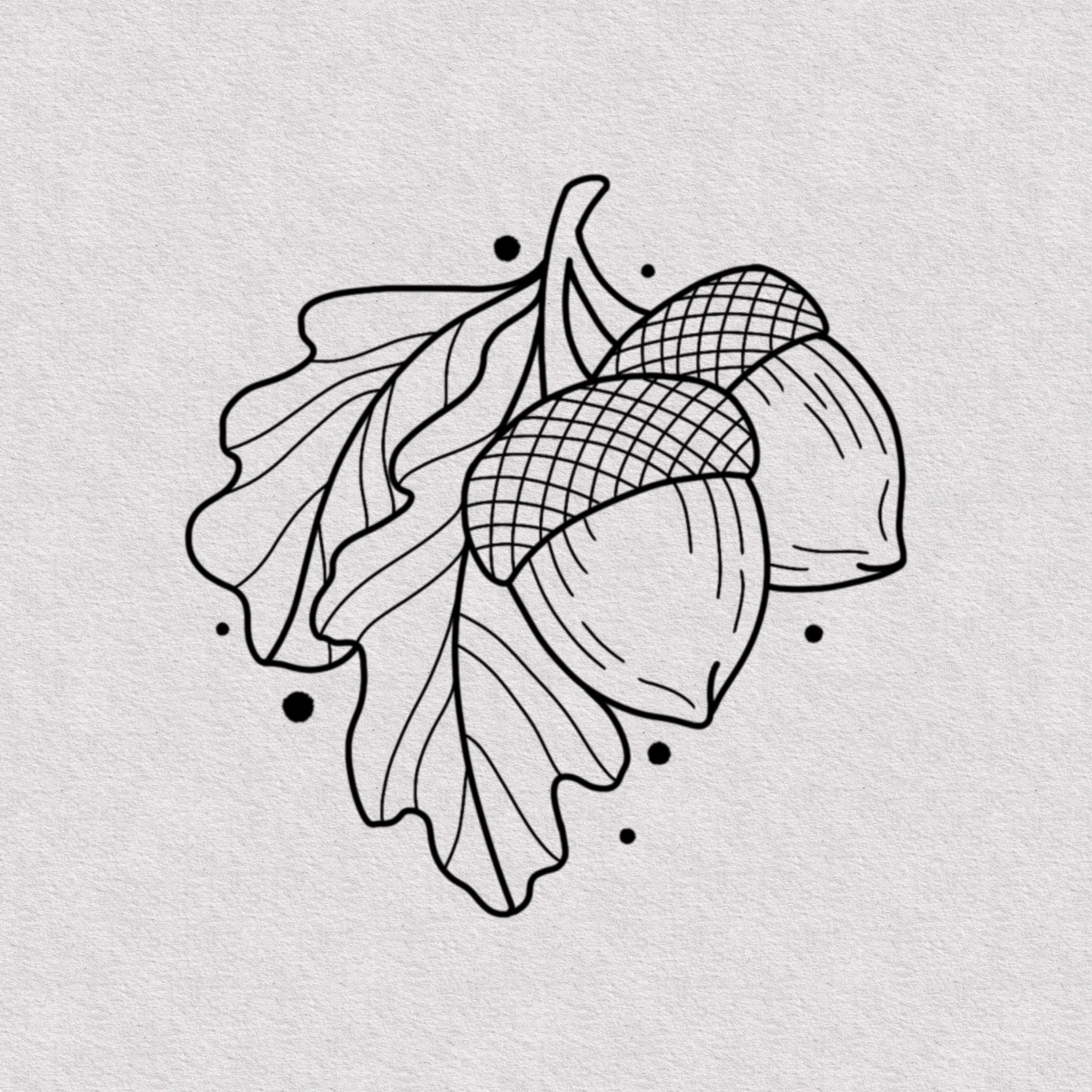 Acorns