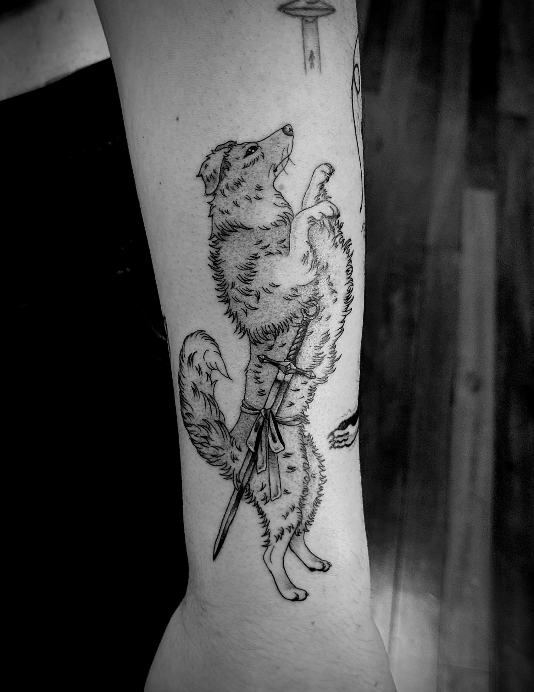 (based on clients border collie)